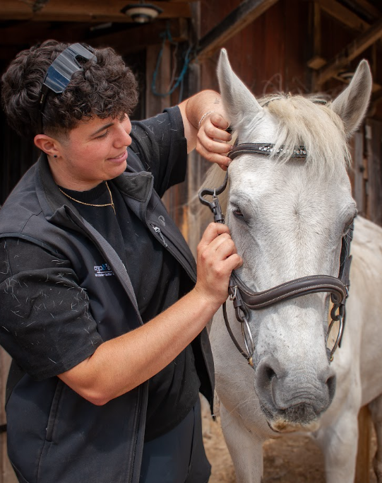 Bit & Bridle fitting