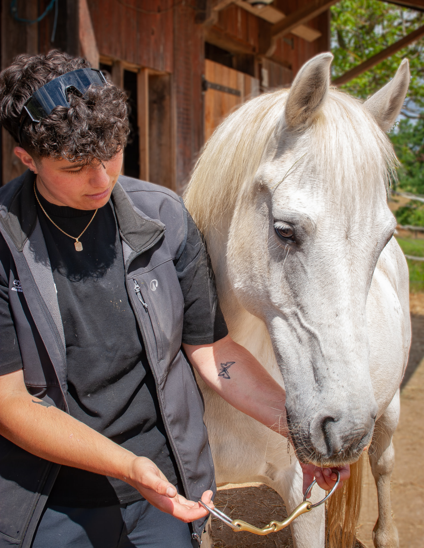Bit & Bridle fitting