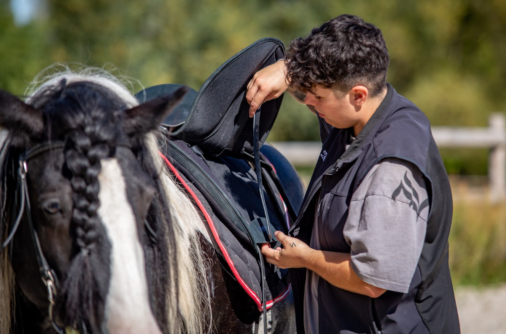 Essai de selle sur un cheval pie